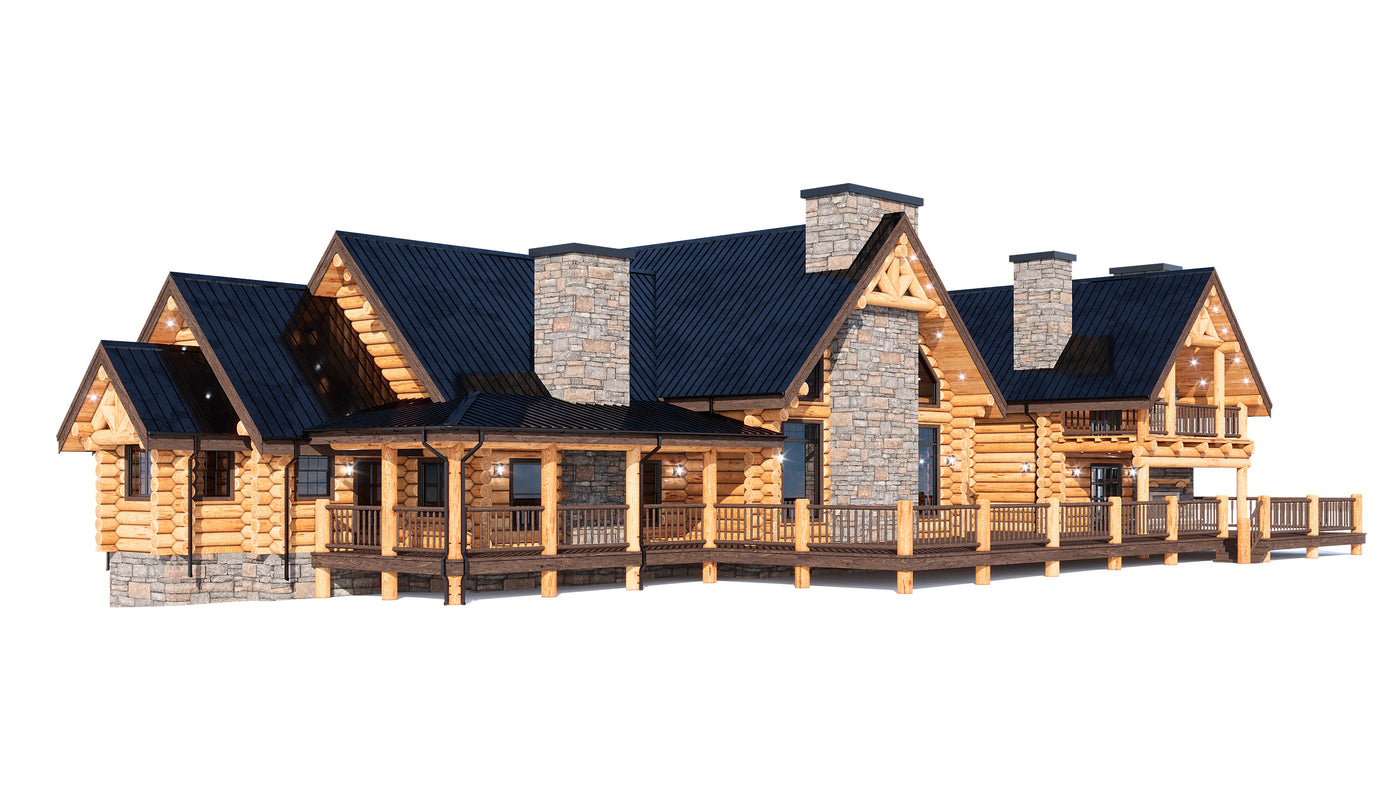 Perspective 3 &mdash; big bear