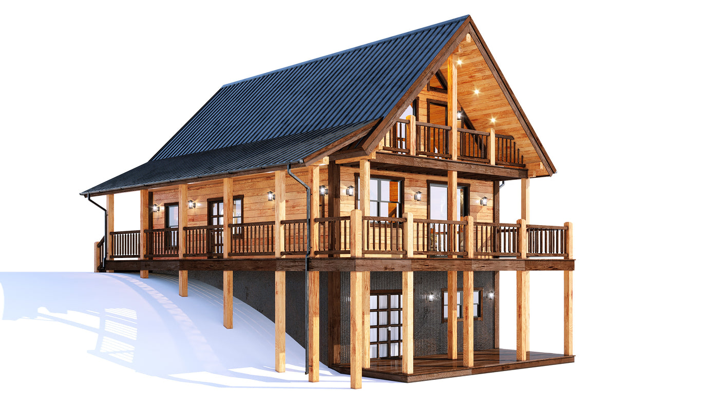 Perspective 1 &mdash; cedar meadow