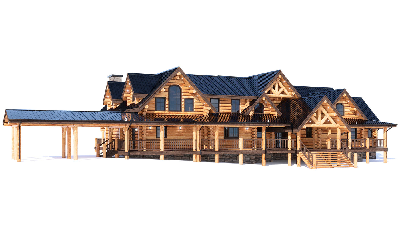 Perspective 1 &mdash; big bear