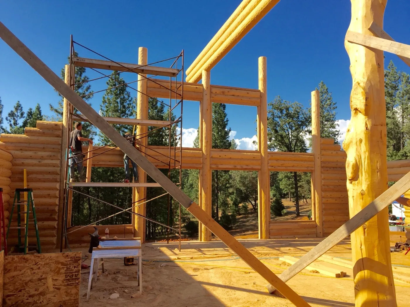 Log home roof trusses exposed during framing surrounded by tall pine trees